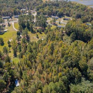 Photo #5 of SOLD property in 15565 Brian Lane , Laurel Hill, NC 5.6 acres