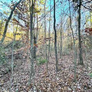 Photo #14 of Off Ladysmith Rd, Ruther Glen, VA 25.5 acres