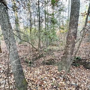 Photo #17 of Off Ladysmith Rd, Ruther Glen, VA 25.5 acres
