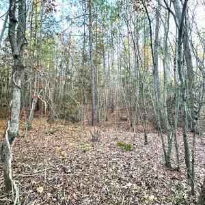 Photo #19 of Off Ladysmith Rd, Ruther Glen, VA 25.5 acres