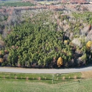 Photo #2 of Off Ladysmith Rd, Ruther Glen, VA 25.5 acres