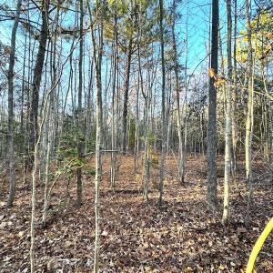 Photo #20 of Off Ladysmith Rd, Ruther Glen, VA 25.5 acres