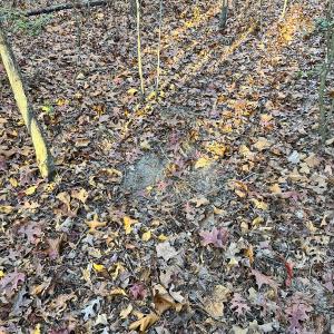 Photo #21 of Off Ladysmith Rd, Ruther Glen, VA 25.5 acres