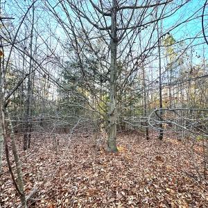 Photo #24 of Off Ladysmith Rd, Ruther Glen, VA 25.5 acres