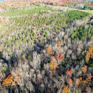Photo #4 of Off Ladysmith Rd, Ruther Glen, VA 25.5 acres
