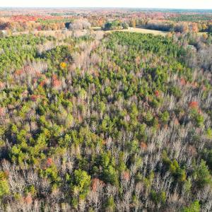 Photo #5 of Off Ladysmith Rd, Ruther Glen, VA 25.5 acres