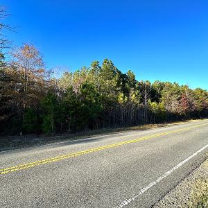 Photo #7 of Off Ladysmith Rd, Ruther Glen, VA 25.5 acres