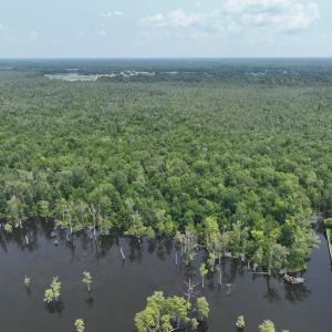 Photo #2 of SOLD property in 302 Emperors Landing Rd, Edenton, NC 625.0 acres