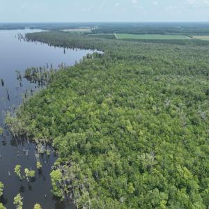 Photo #11 of SOLD property in 302 Emperors Landing Rd, Edenton, NC 625.0 acres