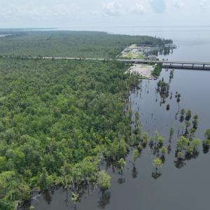 Photo #4 of SOLD property in 302 Emperors Landing Rd, Edenton, NC 625.0 acres