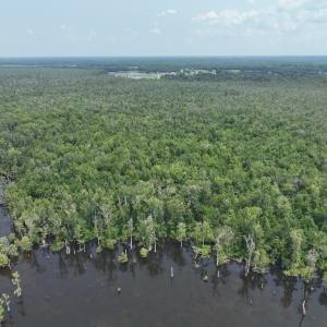 Photo #5 of SOLD property in 302 Emperors Landing Rd, Edenton, NC 625.0 acres