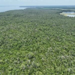 Photo #9 of SOLD property in 302 Emperors Landing Rd, Edenton, NC 625.0 acres