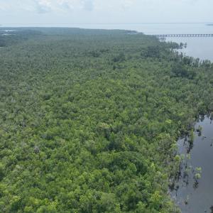 Photo #15 of SOLD property in 302 Emperors Landing Rd, Edenton, NC 625.0 acres