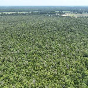 Photo #17 of SOLD property in 302 Emperors Landing Rd, Edenton, NC 625.0 acres