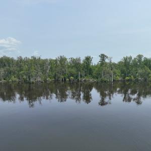 Photo #20 of SOLD property in 302 Emperors Landing Rd, Edenton, NC 625.0 acres