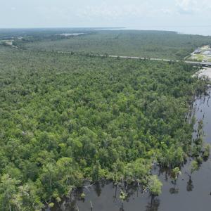 Photo #12 of SOLD property in 302 Emperors Landing Rd, Edenton, NC 625.0 acres