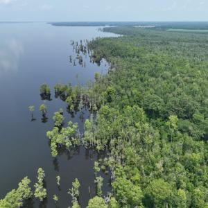 Photo #13 of SOLD property in 302 Emperors Landing Rd, Edenton, NC 625.0 acres
