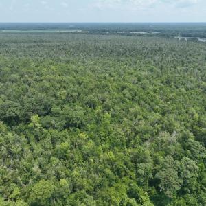 Photo #14 of SOLD property in 302 Emperors Landing Rd, Edenton, NC 625.0 acres
