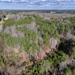 Photo #9 of Off Sims Bridge Road , Kittrell, NC 2.3 acres