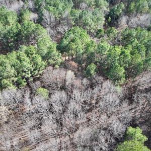 Photo #14 of Off Sims Bridge Road , Kittrell, NC 2.3 acres