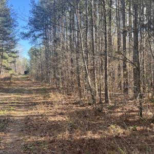 Photo #2 of Off Sims Bridge Road , Kittrell, NC 2.3 acres