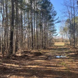 Photo #3 of Off Sims Bridge Road , Kittrell, NC 2.3 acres