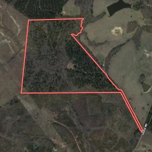 Photo #1 of SOLD property in Off Uzzle Road , Rougemont, NC 70.3 acres