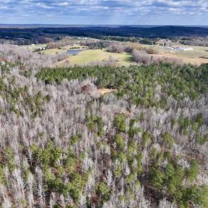 Photo #9 of SOLD property in Off Uzzle Road , Rougemont, NC 70.3 acres