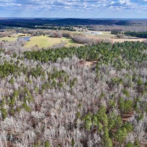 Photo #10 of SOLD property in Off Uzzle Road , Rougemont, NC 70.3 acres