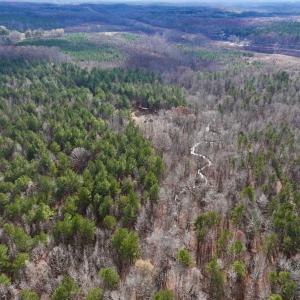 Photo #13 of SOLD property in Off Uzzle Road , Rougemont, NC 70.3 acres