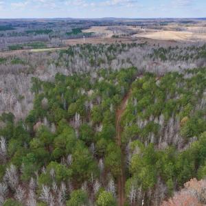 Photo #15 of SOLD property in Off Uzzle Road , Rougemont, NC 70.3 acres