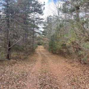 Photo #19 of SOLD property in Off Uzzle Road , Rougemont, NC 70.3 acres