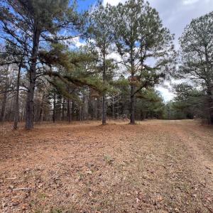 Photo #20 of SOLD property in Off Uzzle Road , Rougemont, NC 70.3 acres