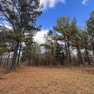Photo #21 of SOLD property in Off Uzzle Road , Rougemont, NC 70.3 acres