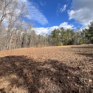 Photo #22 of SOLD property in Off Uzzle Road , Rougemont, NC 70.3 acres