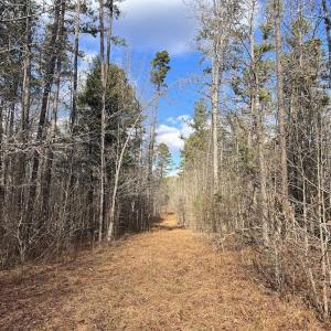 Photo #23 of SOLD property in Off Uzzle Road , Rougemont, NC 70.3 acres