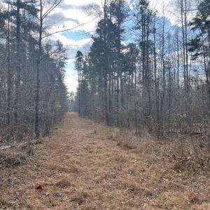 Photo #24 of SOLD property in Off Uzzle Road , Rougemont, NC 70.3 acres