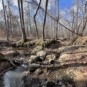 Photo #25 of SOLD property in Off Uzzle Road , Rougemont, NC 70.3 acres
