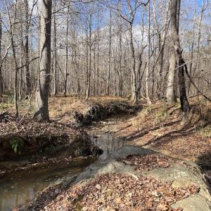 Photo #26 of SOLD property in Off Uzzle Road , Rougemont, NC 70.3 acres