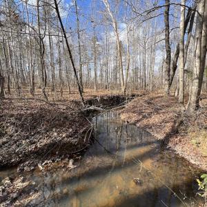 Photo #27 of SOLD property in Off Uzzle Road , Rougemont, NC 70.3 acres