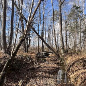 Photo #29 of SOLD property in Off Uzzle Road , Rougemont, NC 70.3 acres