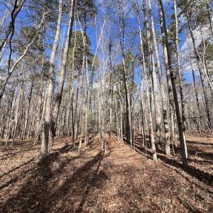 Photo #33 of SOLD property in Off Uzzle Road , Rougemont, NC 70.3 acres