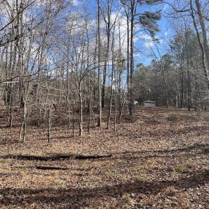 Photo #34 of SOLD property in Off Uzzle Road , Rougemont, NC 70.3 acres