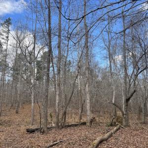 Photo #35 of SOLD property in Off Uzzle Road , Rougemont, NC 70.3 acres