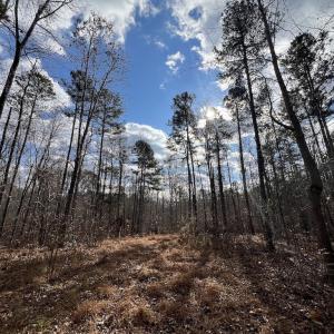 Photo #36 of SOLD property in Off Uzzle Road , Rougemont, NC 70.3 acres