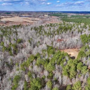 Photo #3 of SOLD property in Off Uzzle Road , Rougemont, NC 70.3 acres
