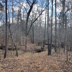 Photo #40 of SOLD property in Off Uzzle Road , Rougemont, NC 70.3 acres
