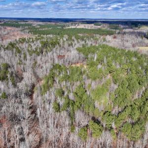 Photo #4 of SOLD property in Off Uzzle Road , Rougemont, NC 70.3 acres