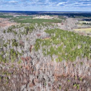 Photo #5 of SOLD property in Off Uzzle Road , Rougemont, NC 70.3 acres