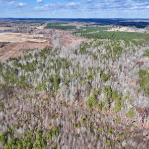 Photo #6 of SOLD property in Off Uzzle Road , Rougemont, NC 70.3 acres
